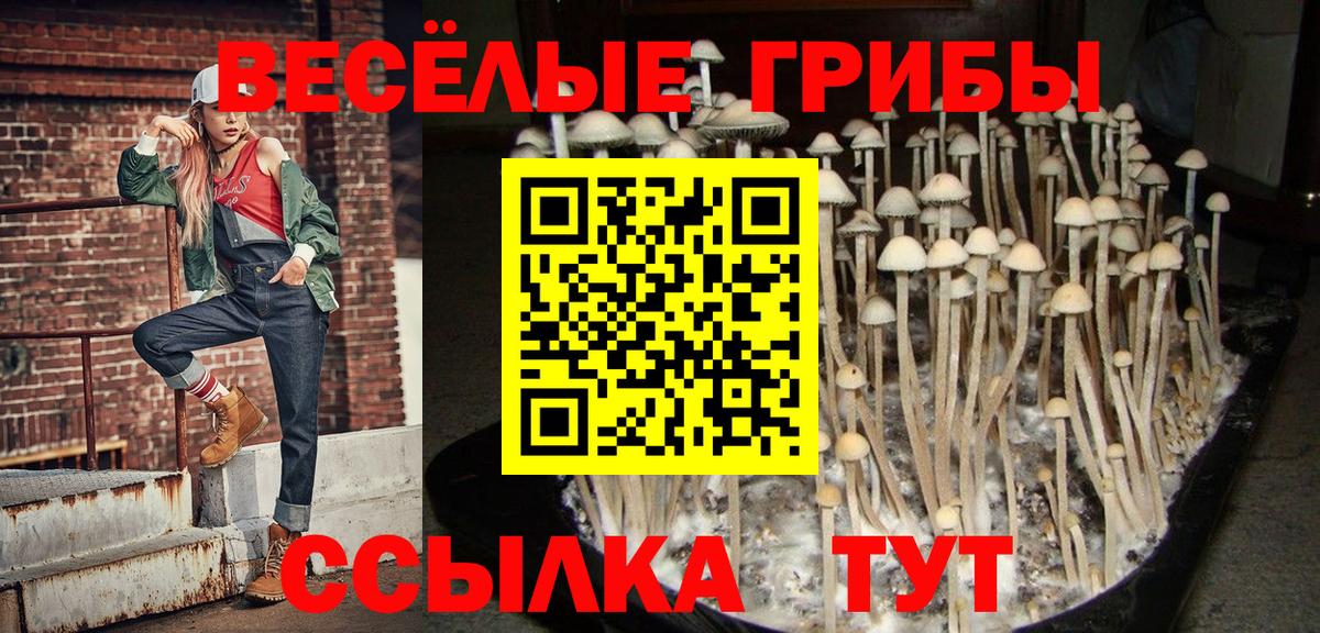 Кострома  сколько стоит  Вход с VPN  Псилоцибиновые грибы ЛСД 