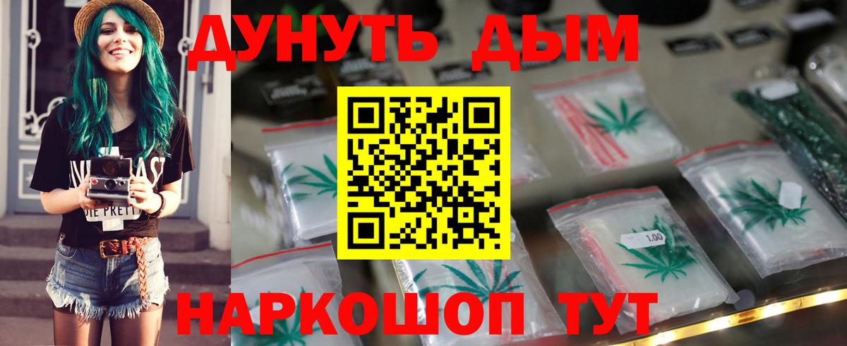 Конопля сатива Кострома